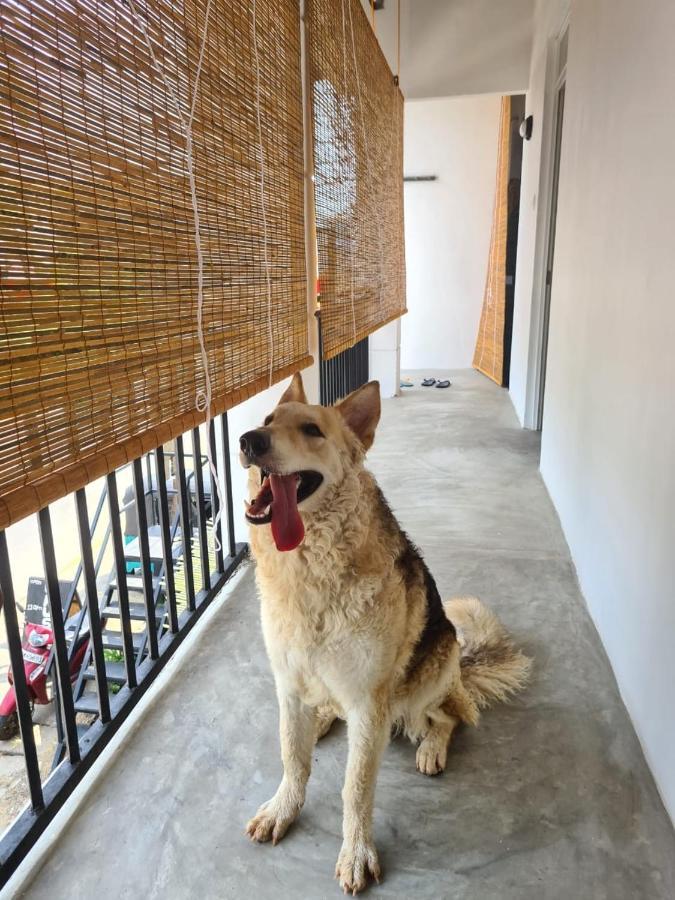Dip N Doze Hostel อาฮานกามา ภายนอก รูปภาพ